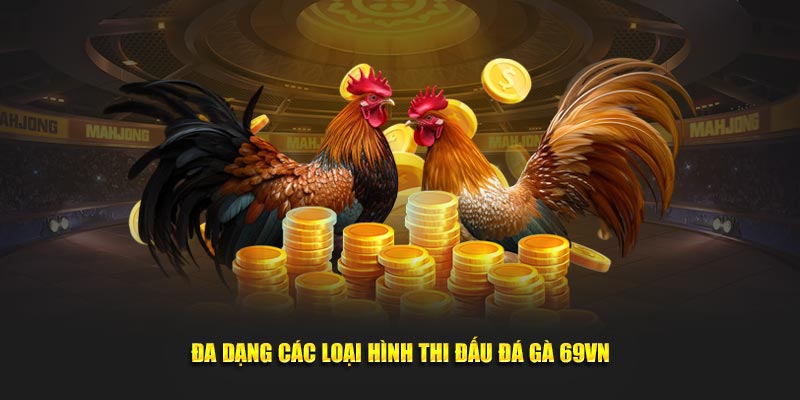 Đa dạng các loại hình thi đấu đá gà 69VN