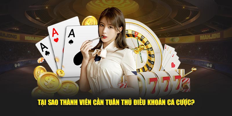 Tại sao thành viên cần tuân thủ điều khoản cá cược?